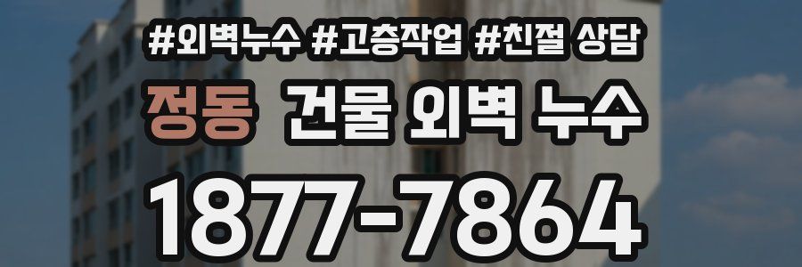 정동 건물 외벽 누수