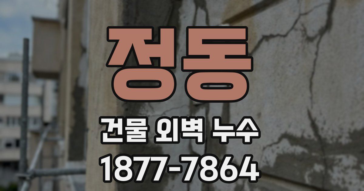 정동 건물 외벽 누수