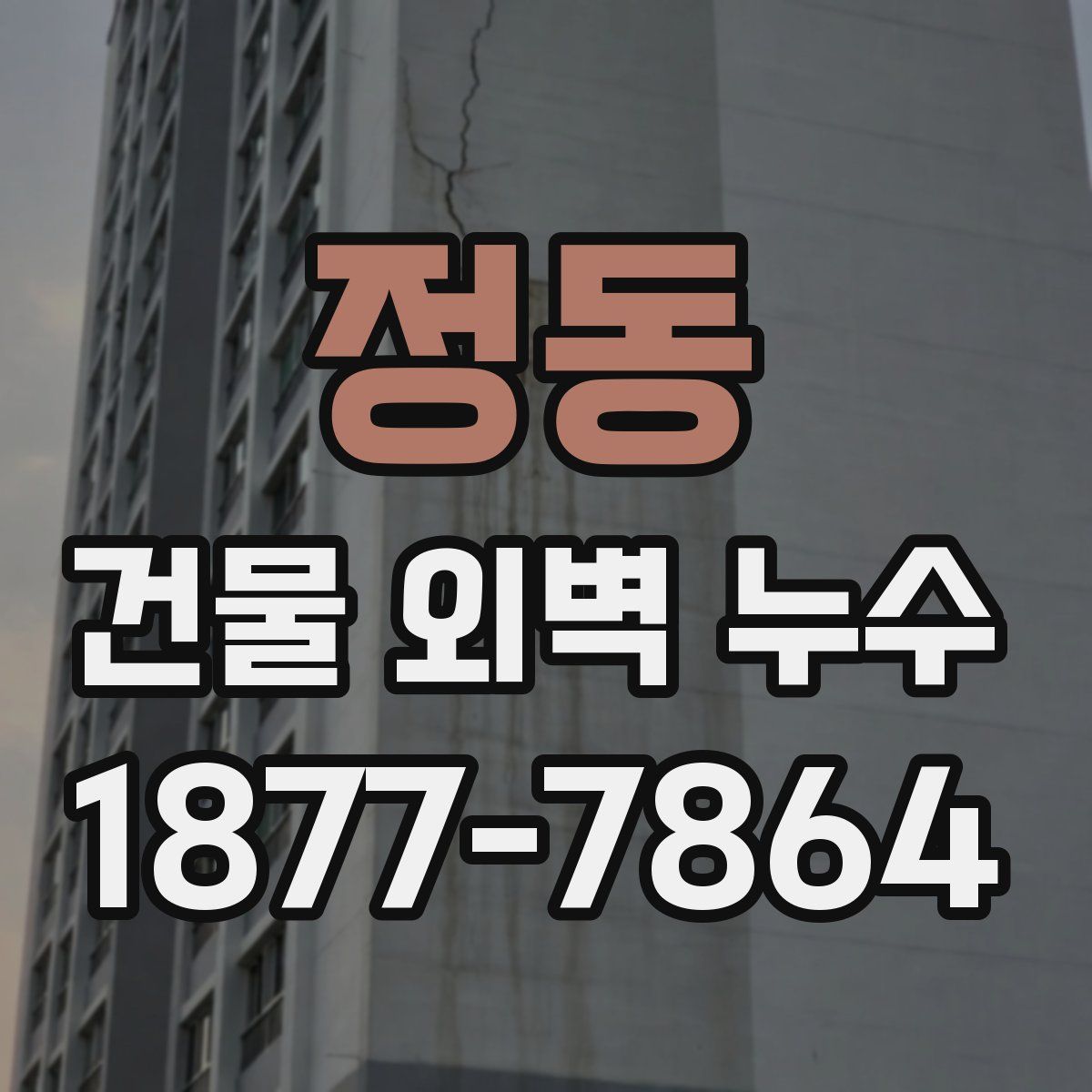 정동 건물 외벽 누수