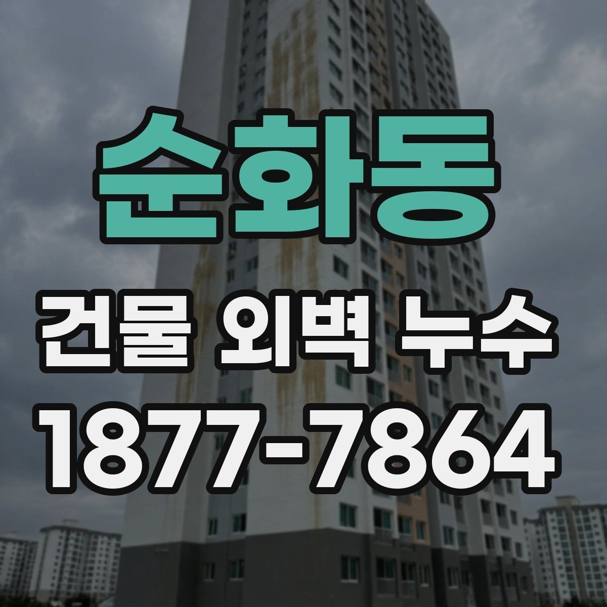 순화동 건물 외벽 누수 장기 관리에 필요한 항목