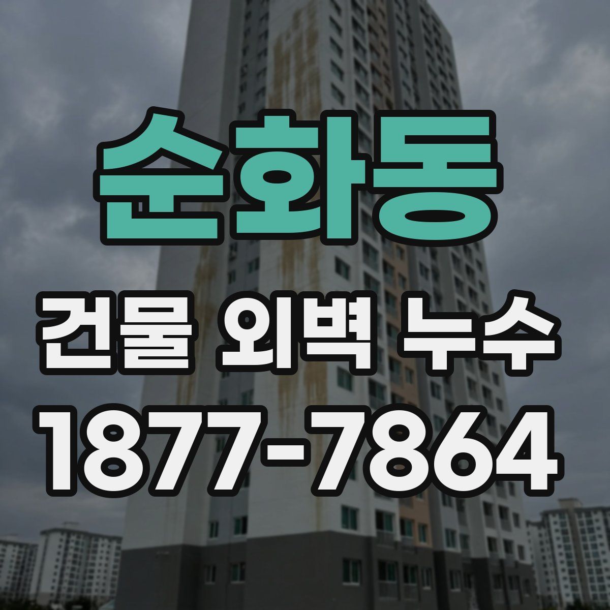 순화동 건물 외벽 누수