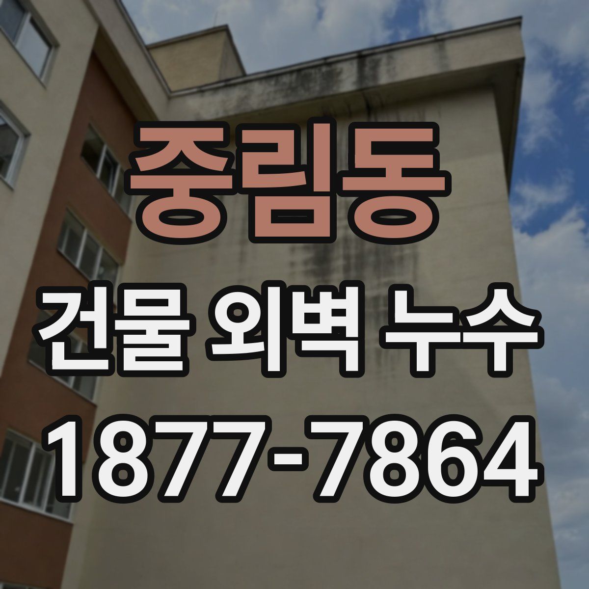 중림동 건물 외벽 누수