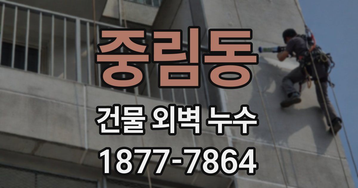 중림동 건물 외벽 누수