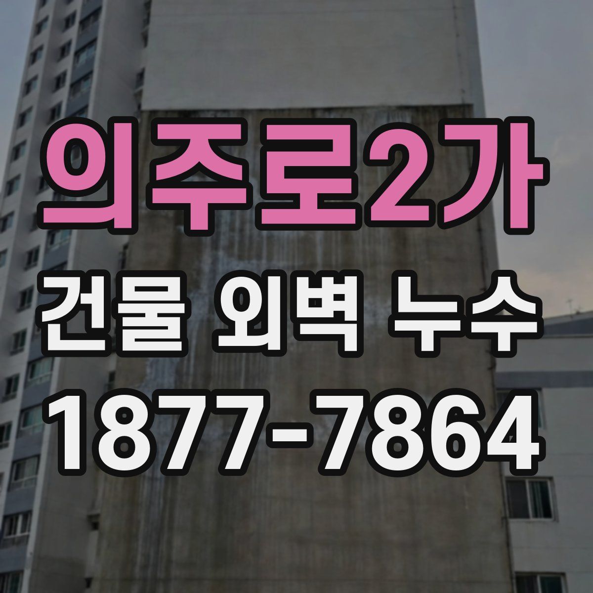 의주로2가 건물 외벽 누수