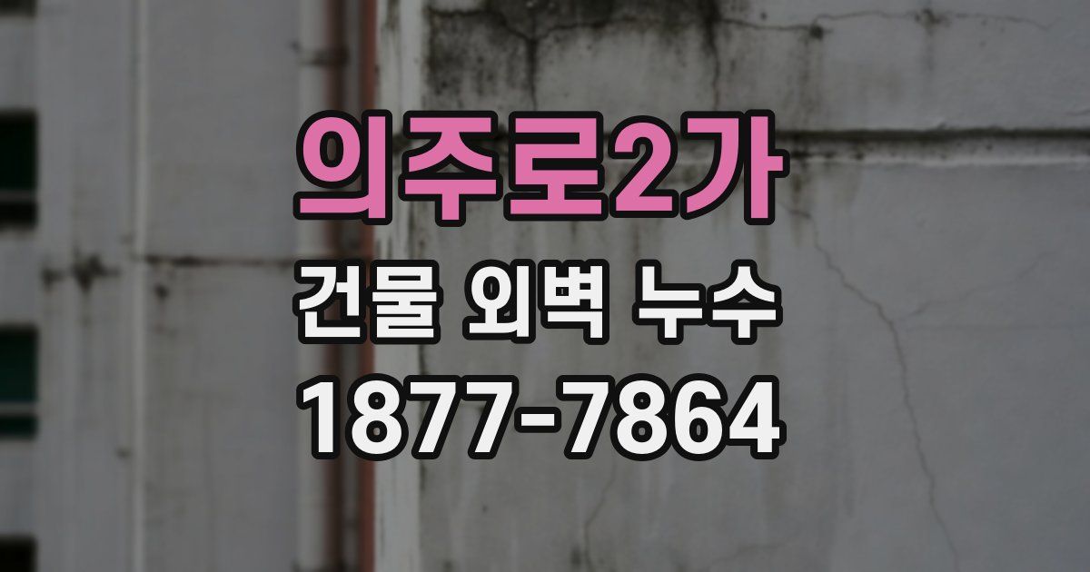 의주로2가 건물 외벽 누수