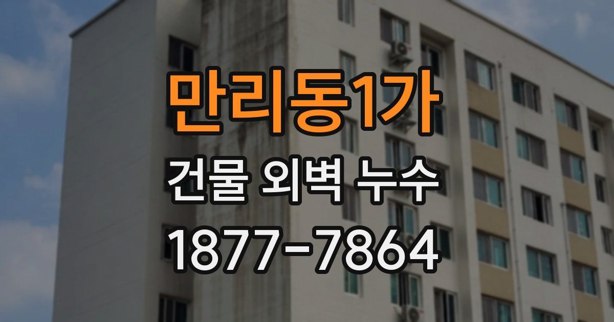 만리동1가 건물 외벽 누수