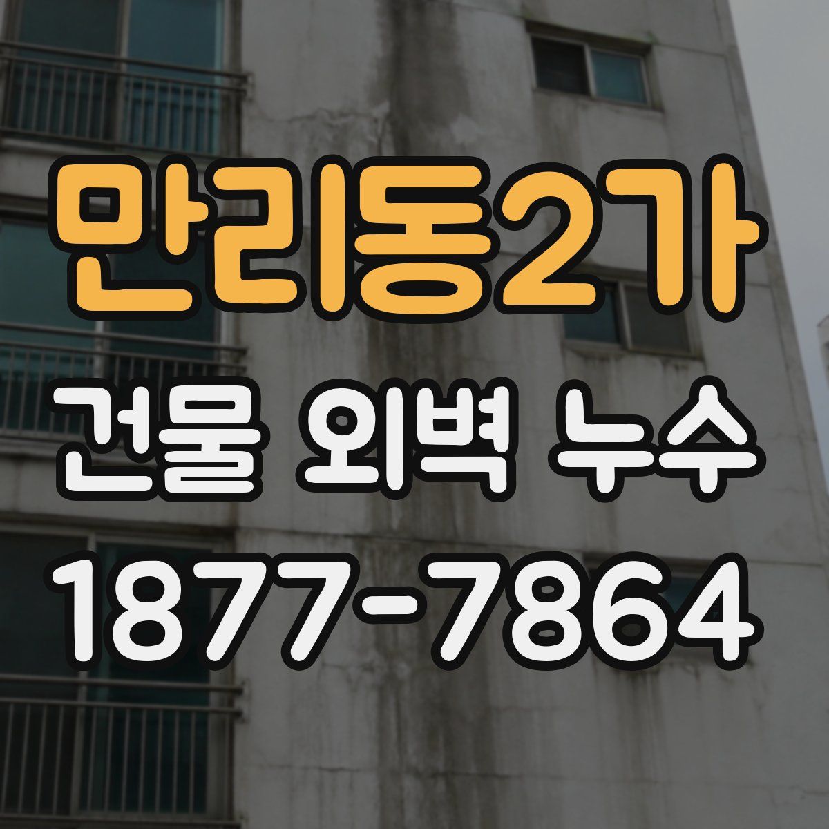 만리동2가 건물 외벽 누수