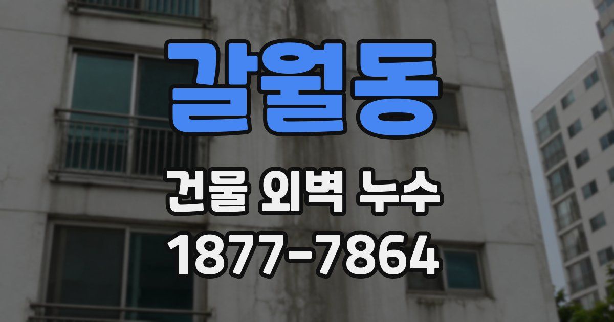 갈월동 건물 외벽 누수