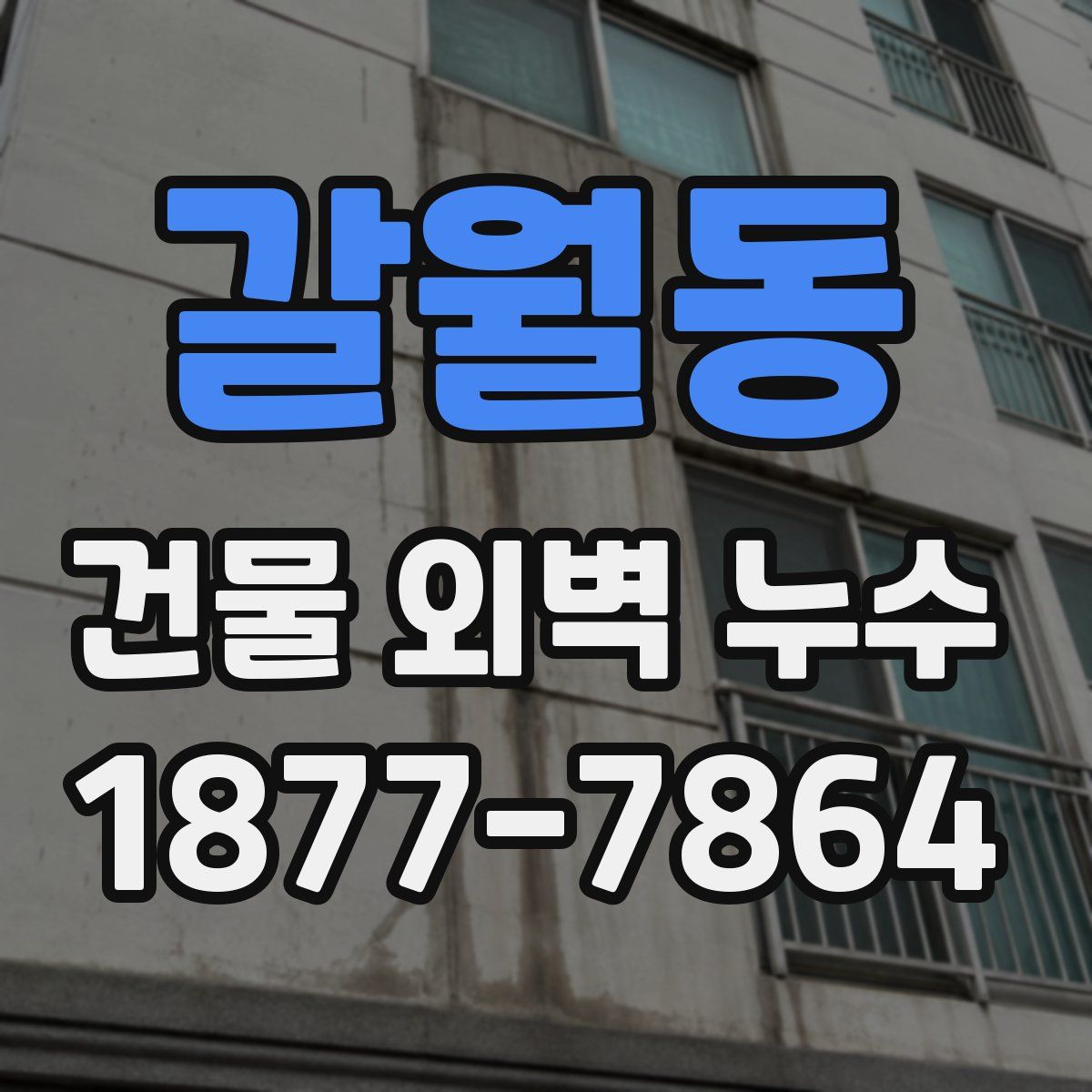 갈월동 건물 외벽 누수