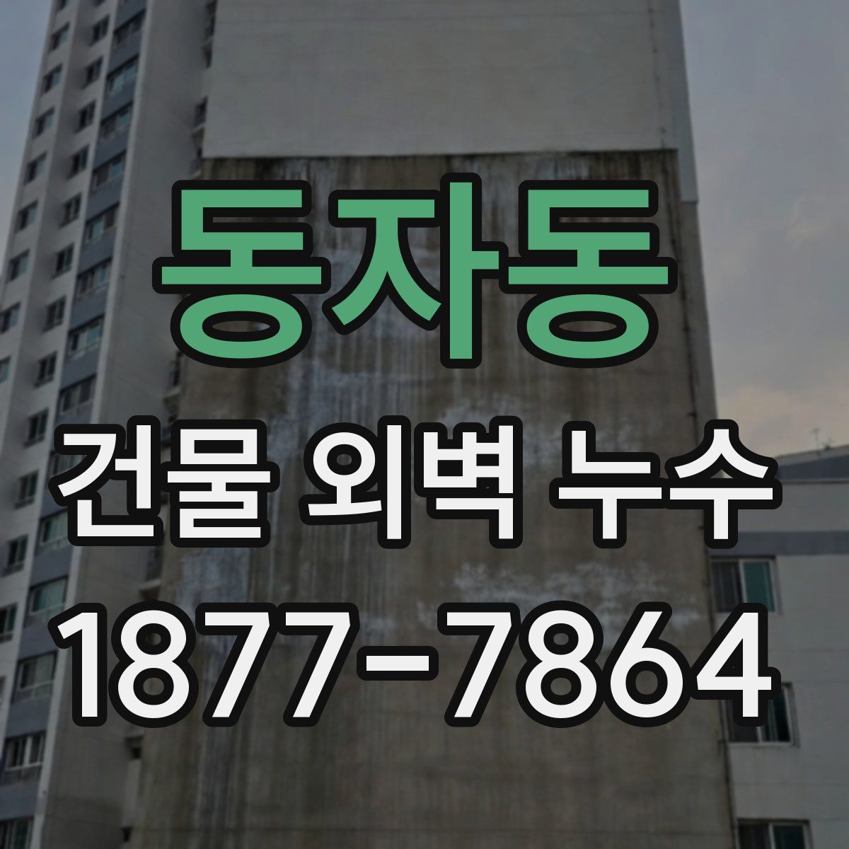 동자동 건물 외벽 누수