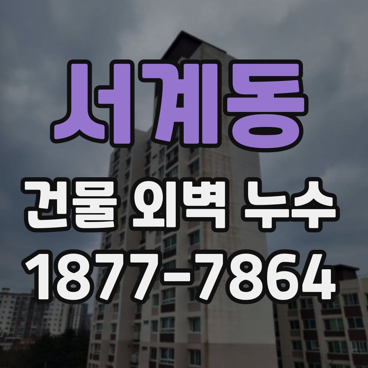 서계동 건물 외벽 누수