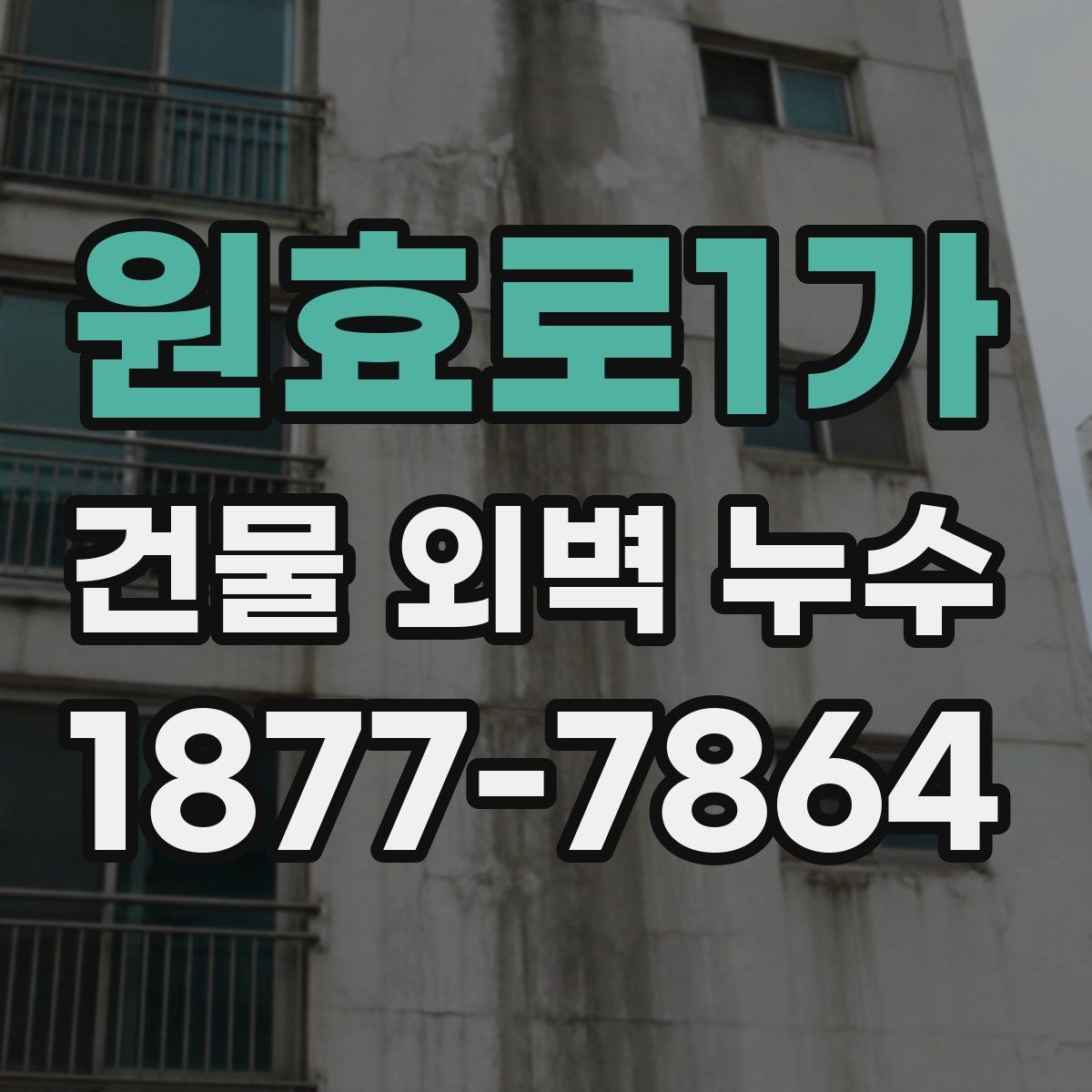 원효로1가 건물 외벽 누수 원인 진단과 보수 방향