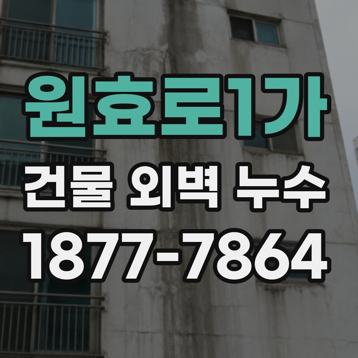 원효로1가 건물 외벽 누수