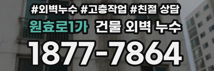 원효로1가 건물 외벽 누수