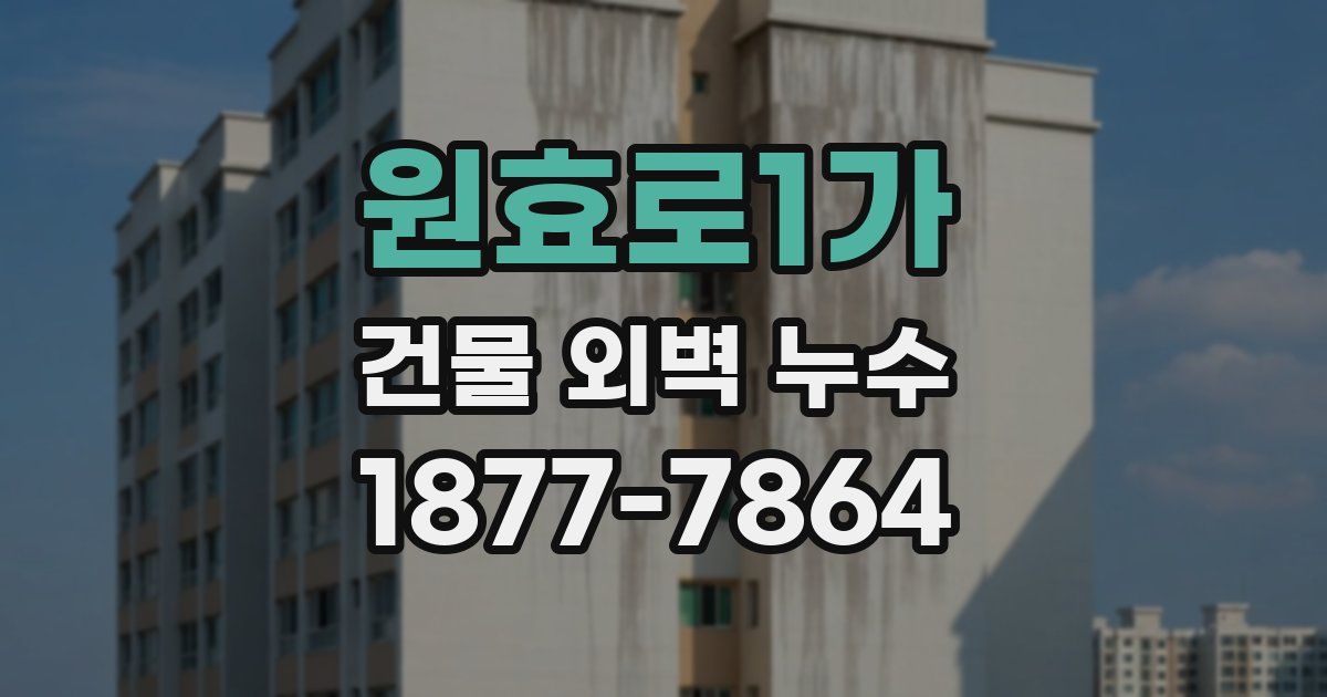 원효로1가 건물 외벽 누수