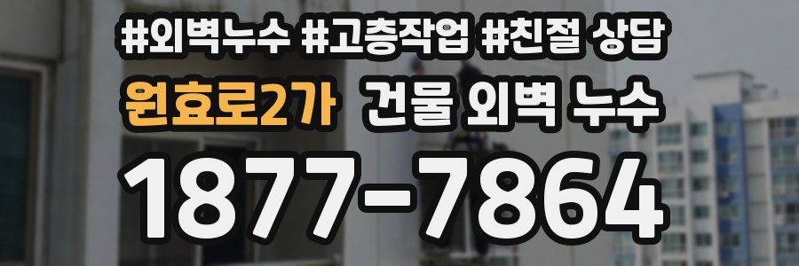 원효로2가 건물 외벽 누수