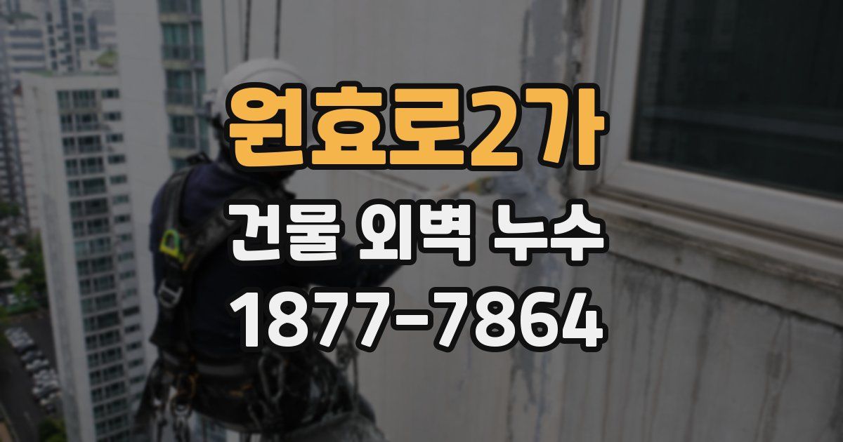 원효로2가 건물 외벽 누수