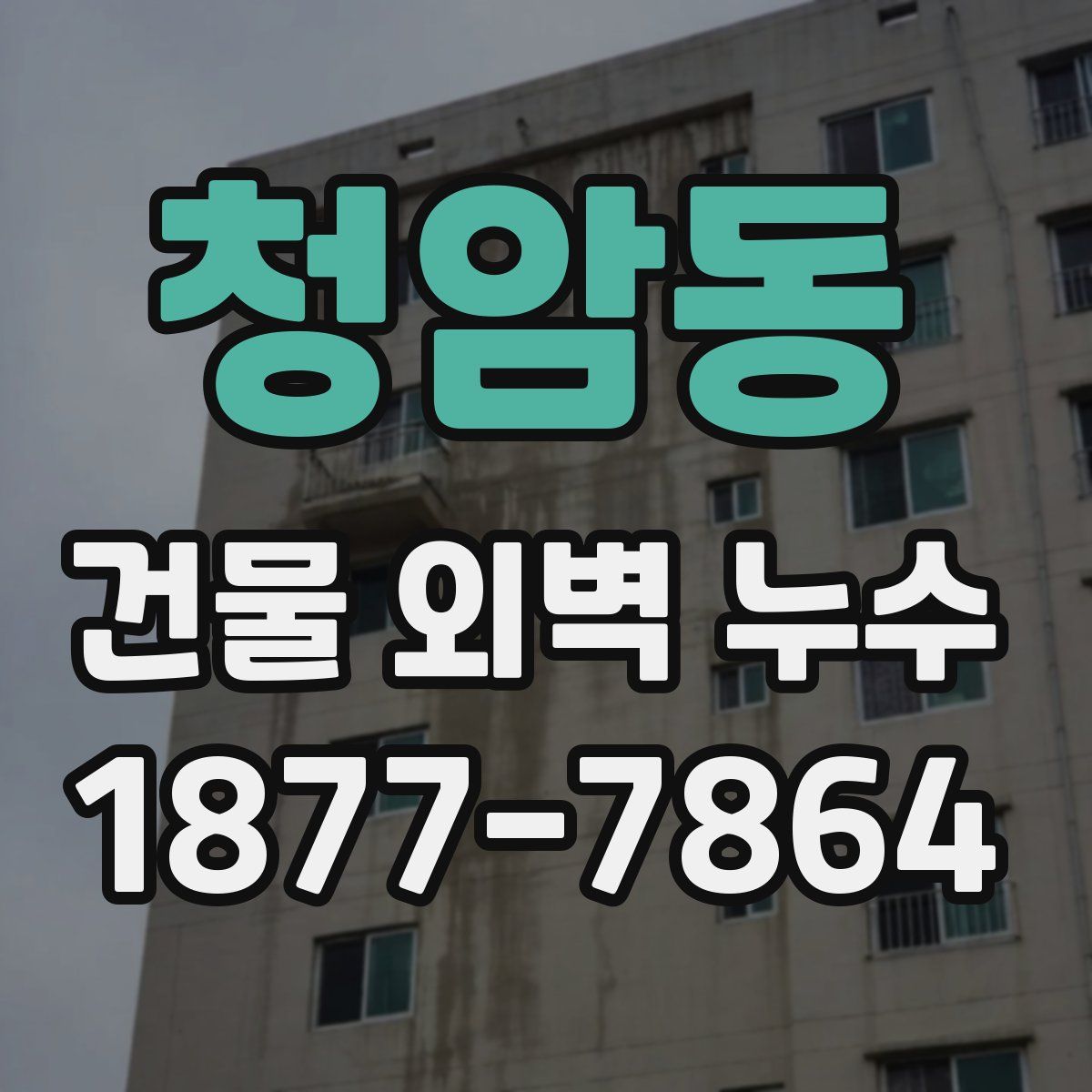 청암동 건물 외벽 누수