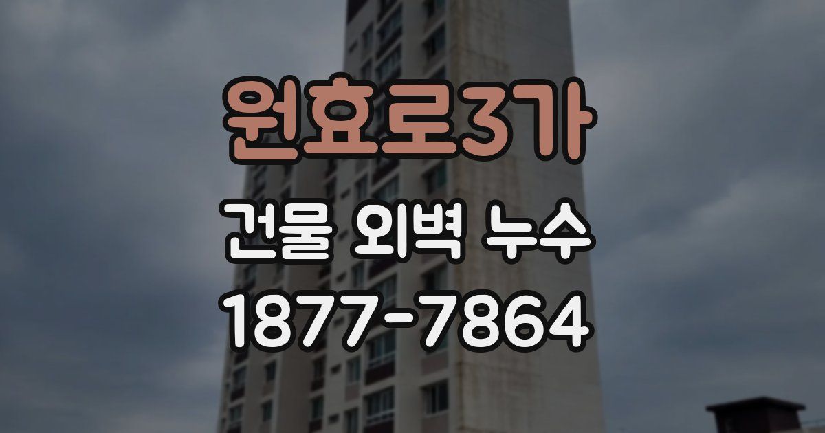 원효로3가 건물 외벽 누수