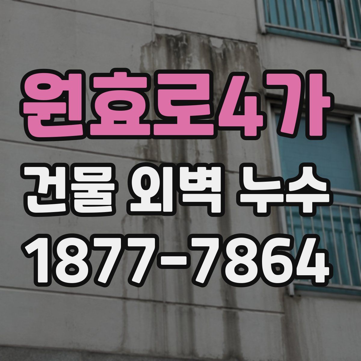 원효로4가 건물 외벽 누수
