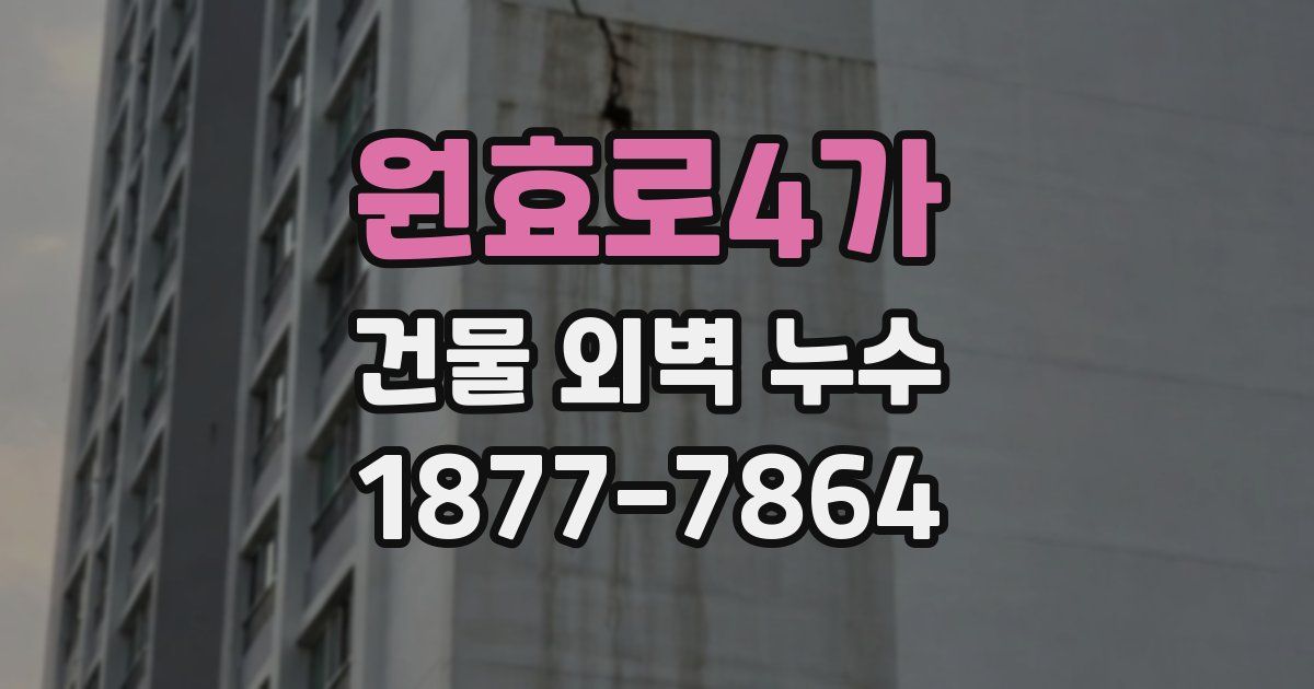 원효로4가 건물 외벽 누수