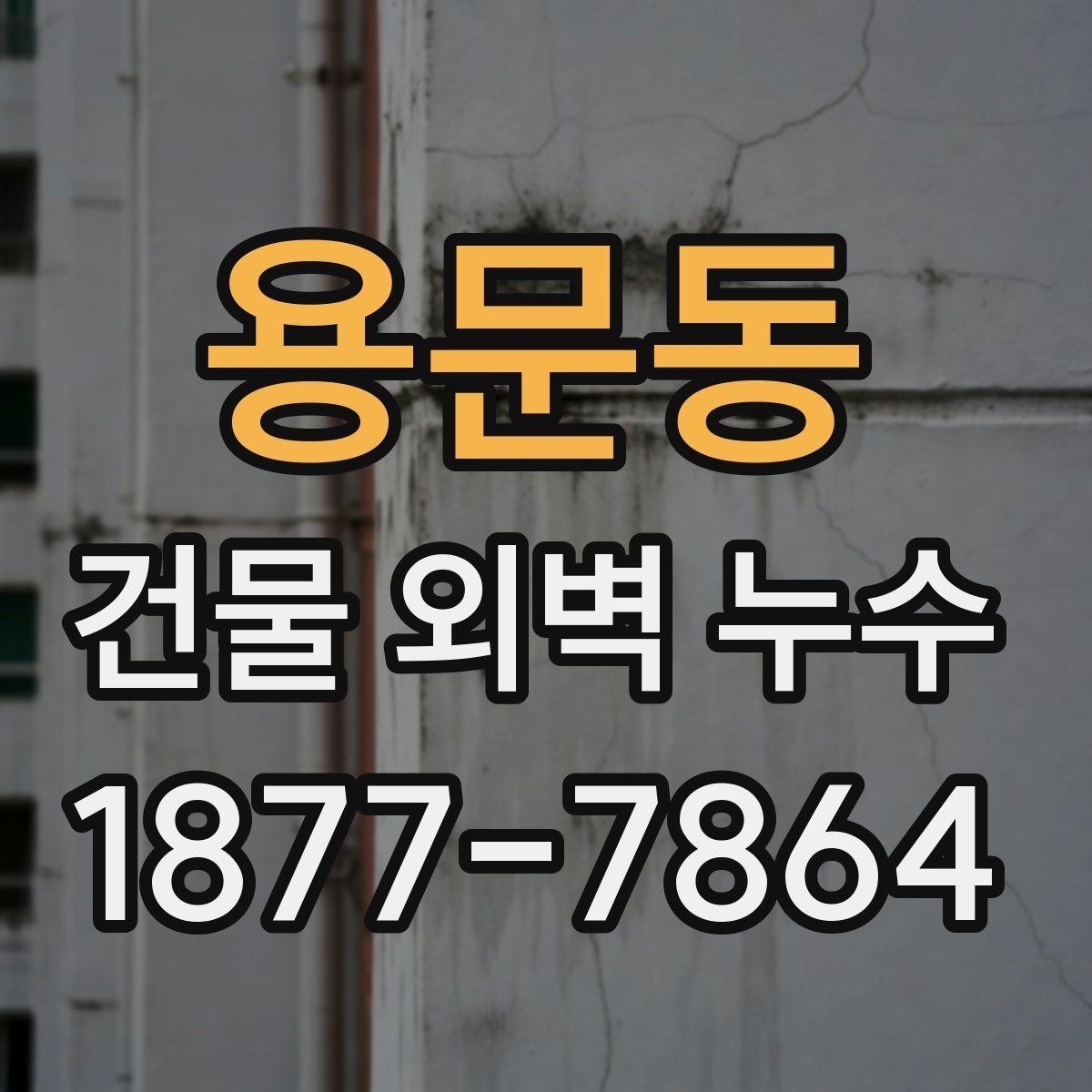 용문동 건물 외벽 누수 원인 찾는 현장 점검 팁