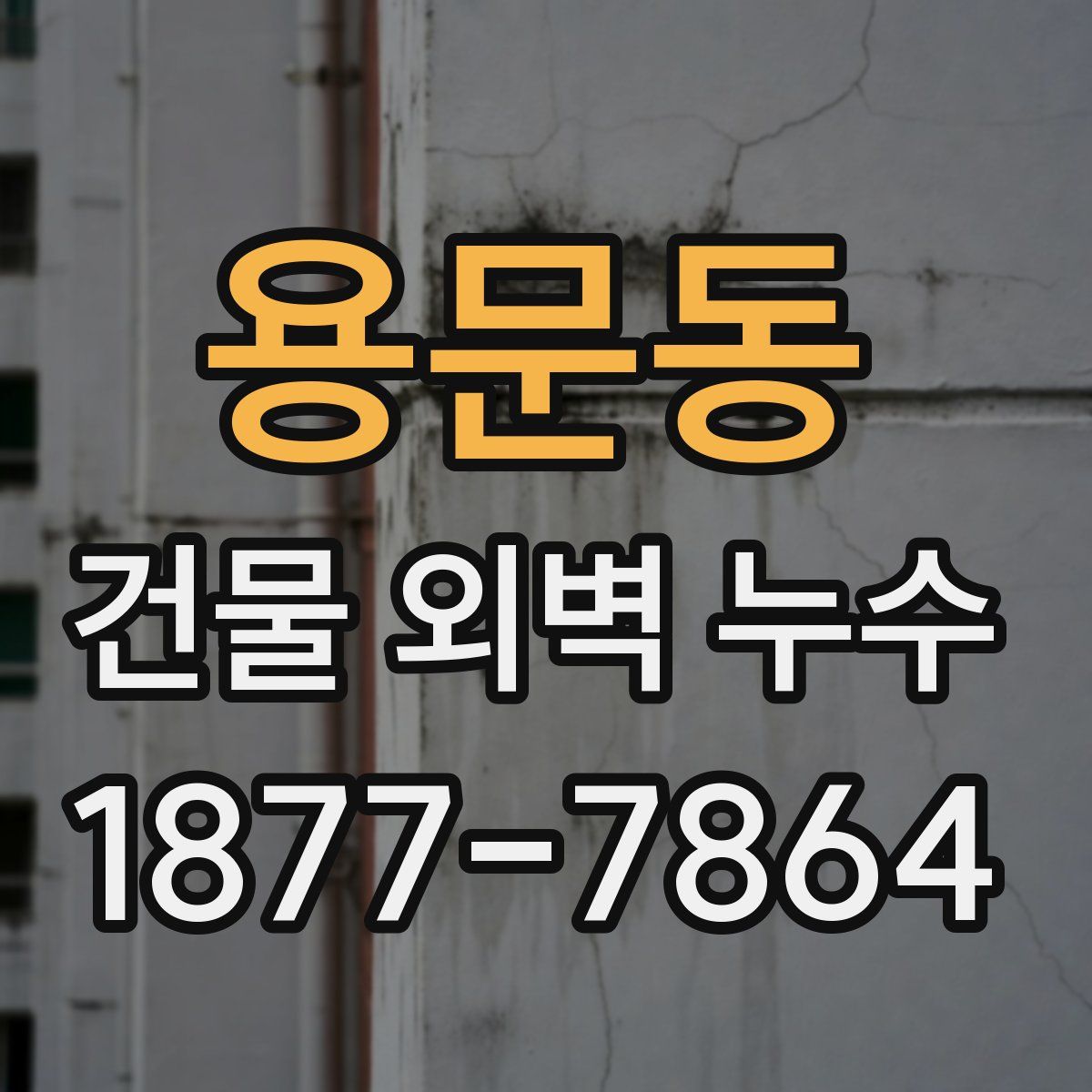 용문동 건물 외벽 누수