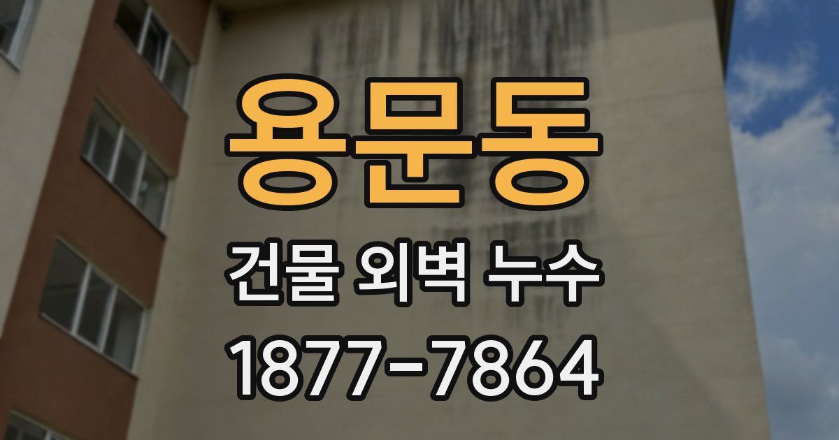 용문동 건물 외벽 누수