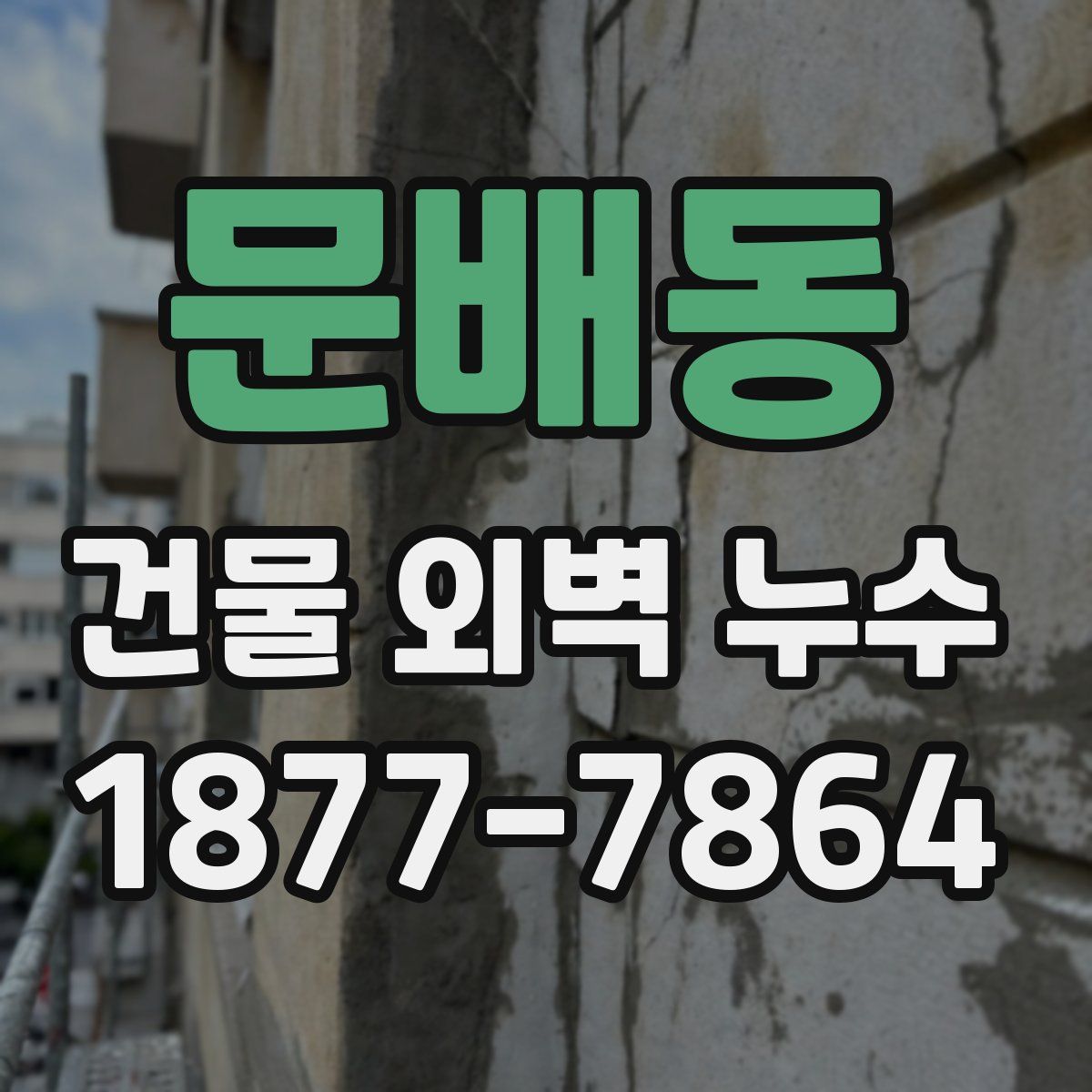문배동 건물 외벽 누수
