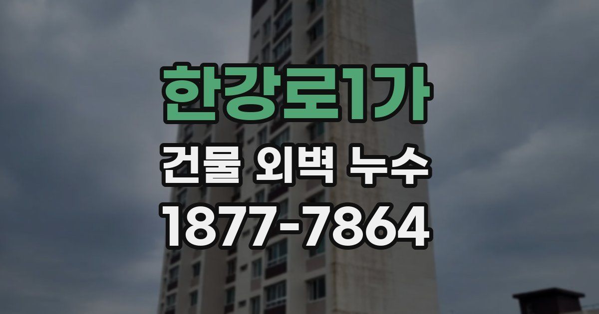 한강로1가 건물 외벽 누수