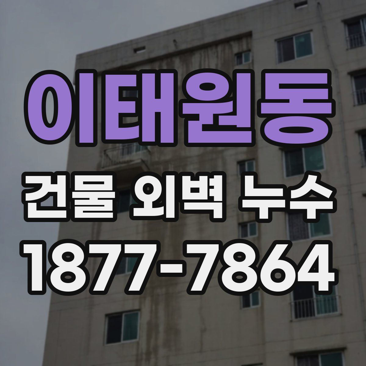 이태원동 건물 외벽 누수
