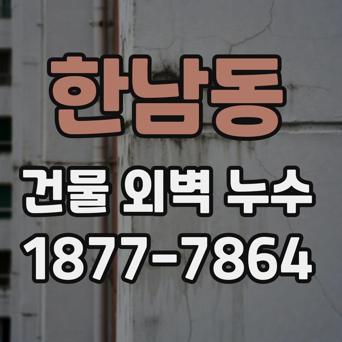 한남동 건물 외벽 누수