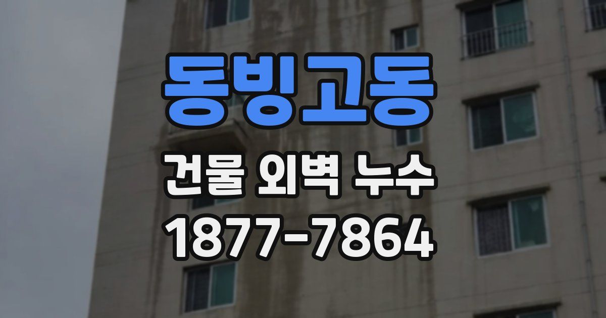 동빙고동 건물 외벽 누수