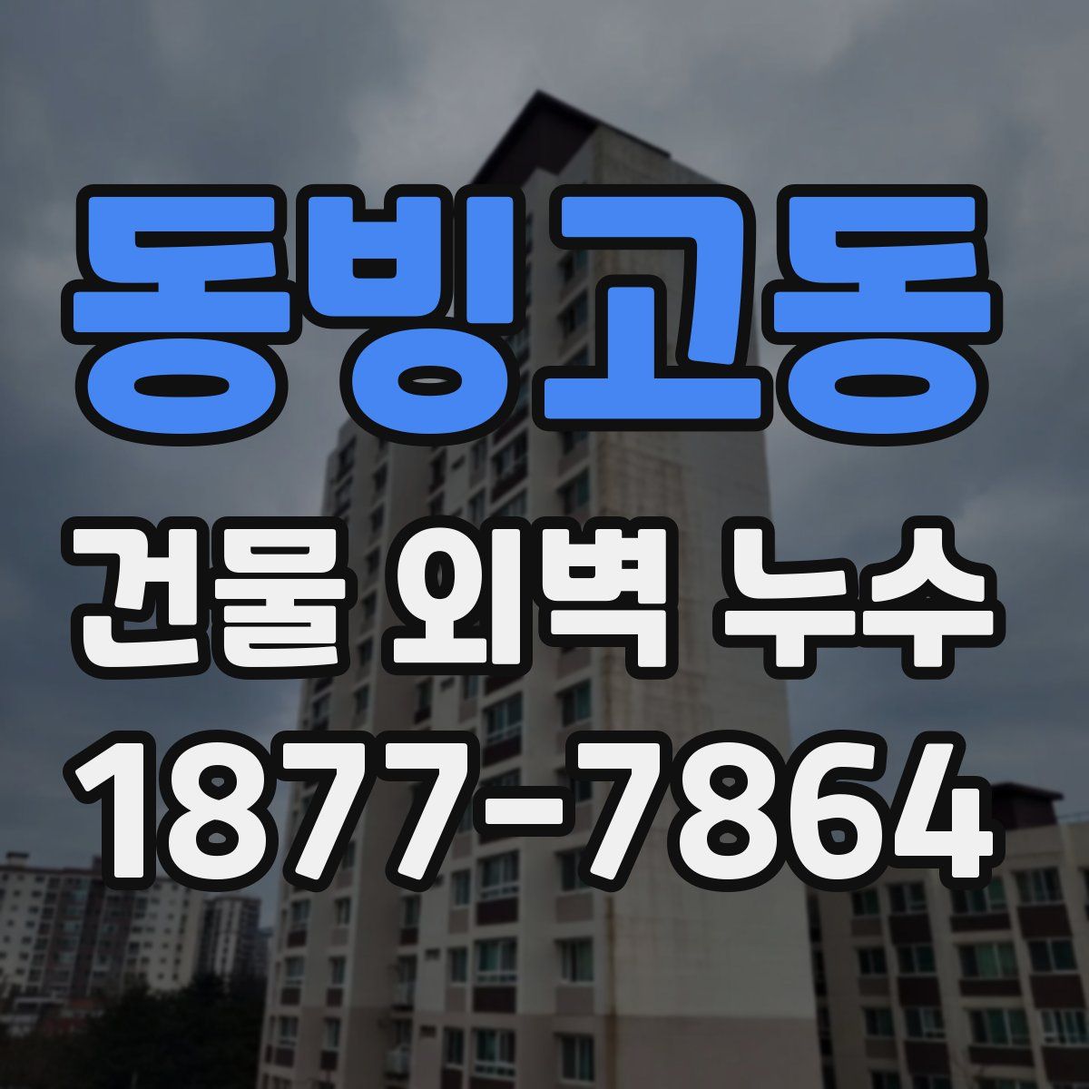 동빙고동 건물 외벽 누수