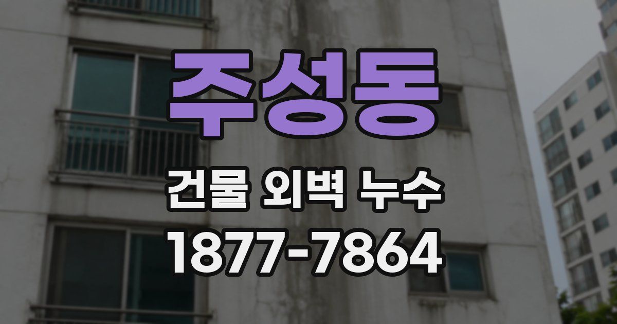 주성동 건물 외벽 누수