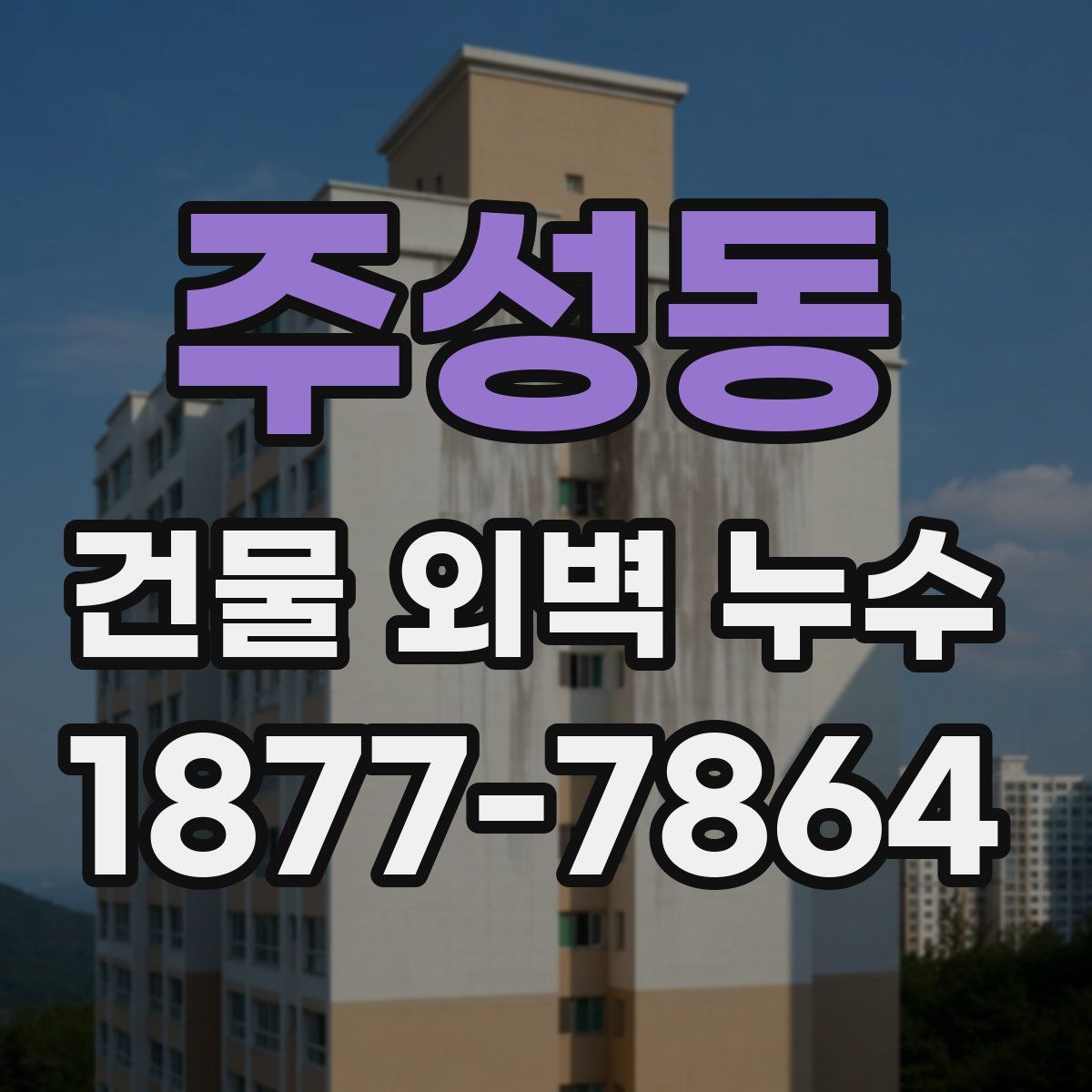 주성동 건물 외벽 누수