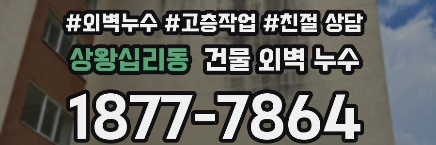 상왕십리동 건물 외벽 누수
