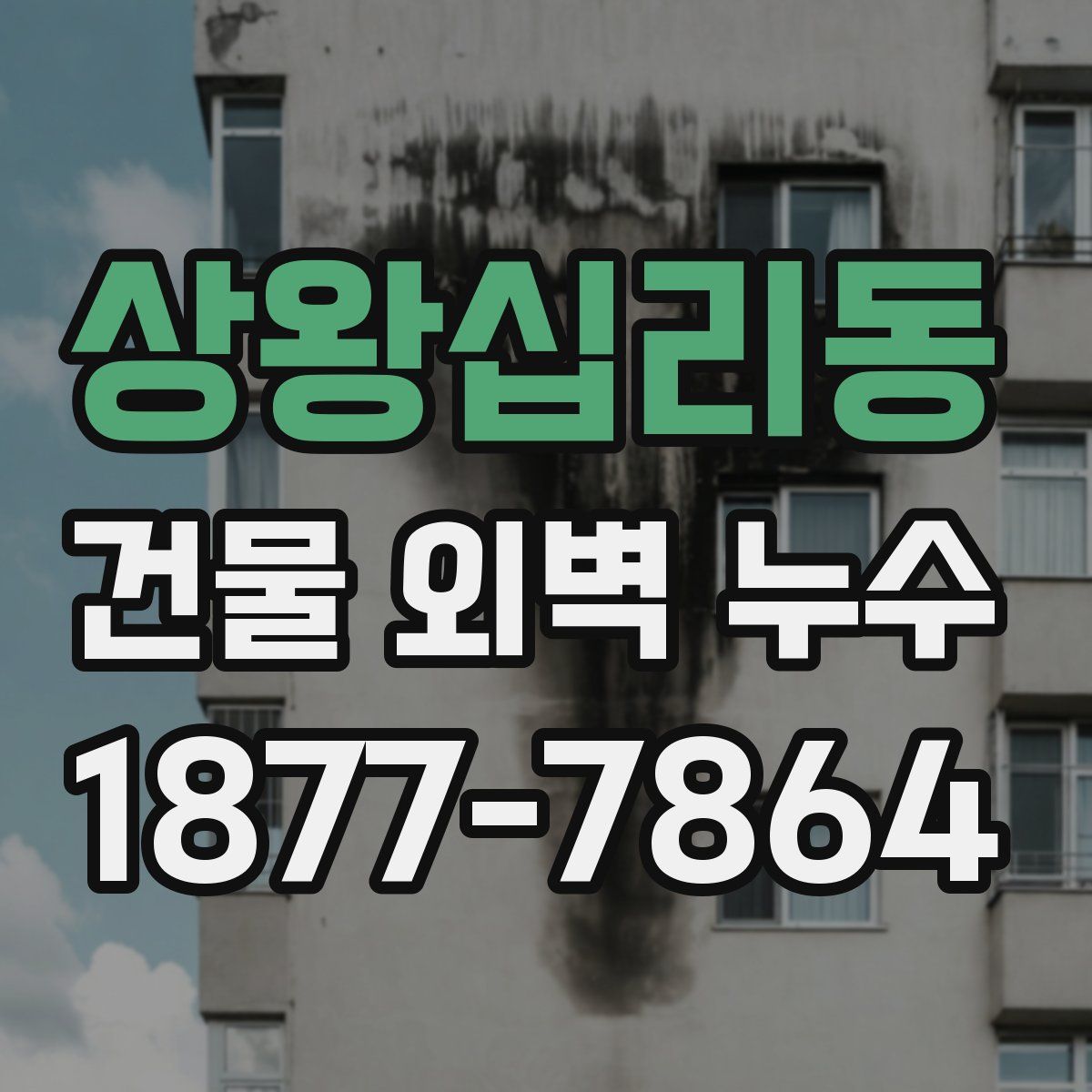 상왕십리동 건물 외벽 누수