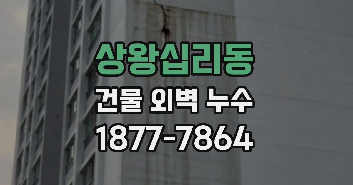 상왕십리동 건물 외벽 누수