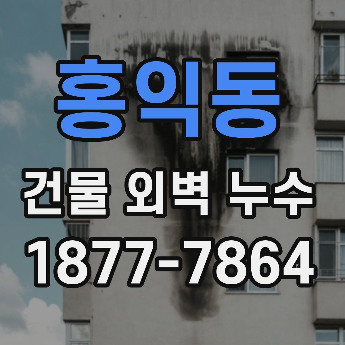 홍익동 건물 외벽 누수 보수 견적 볼 때 체크할 항목