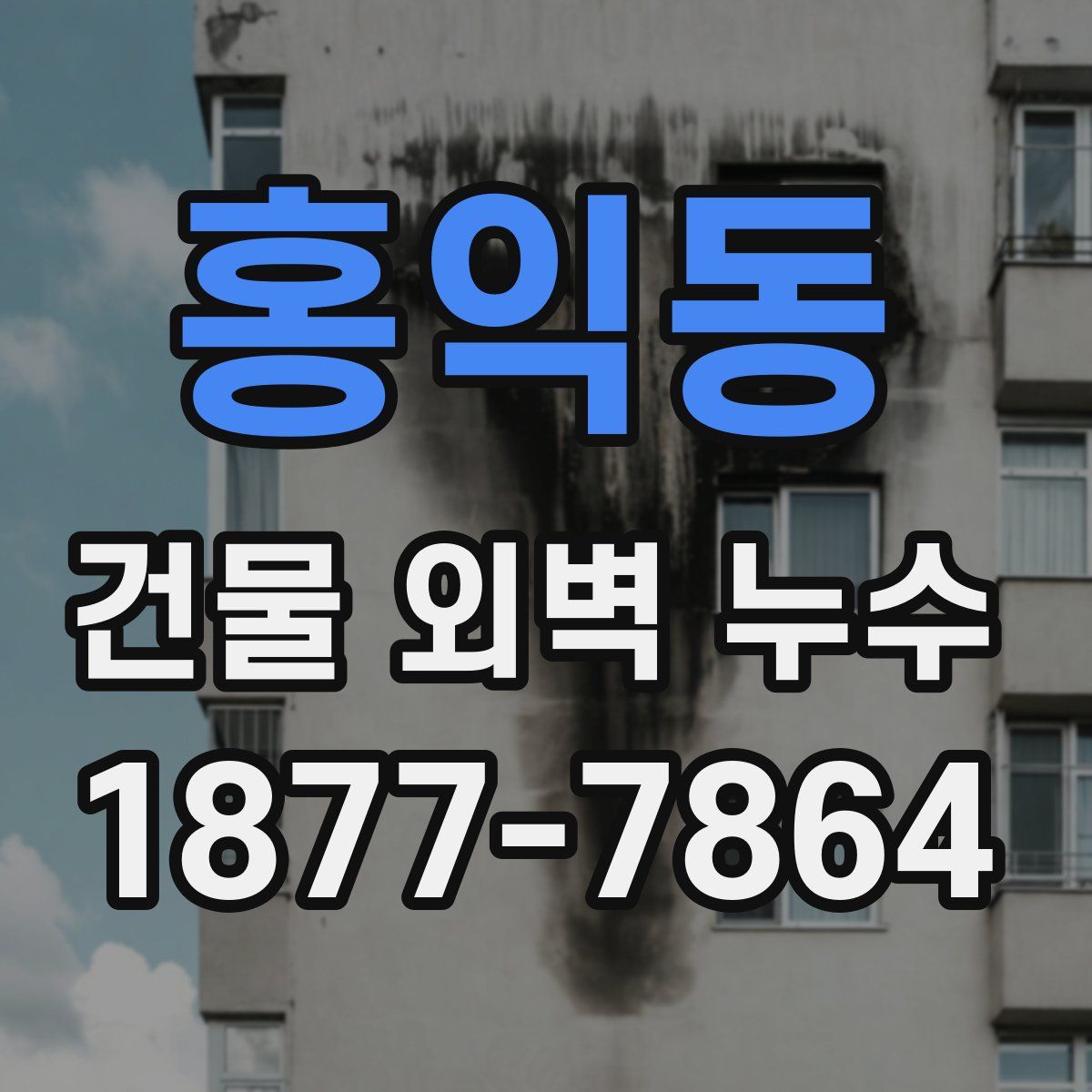 홍익동 건물 외벽 누수