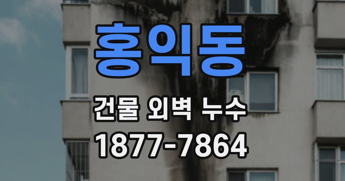 홍익동 건물 외벽 누수