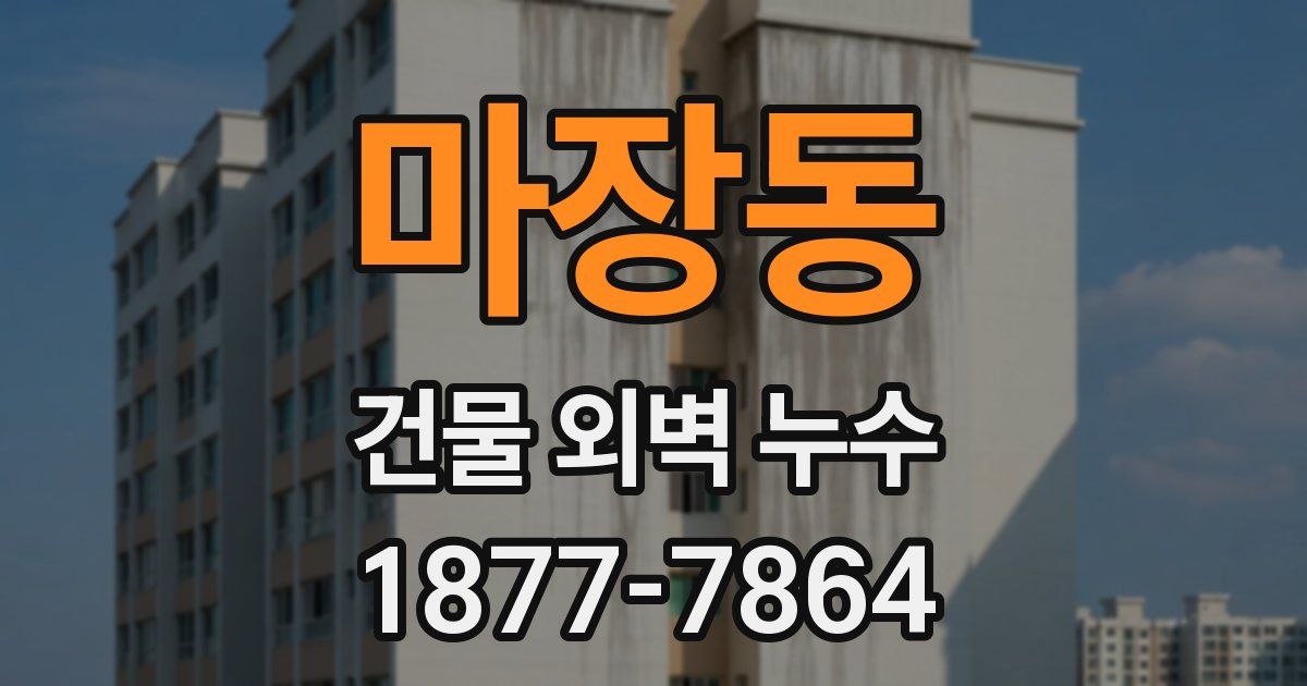 마장동 건물 외벽 누수
