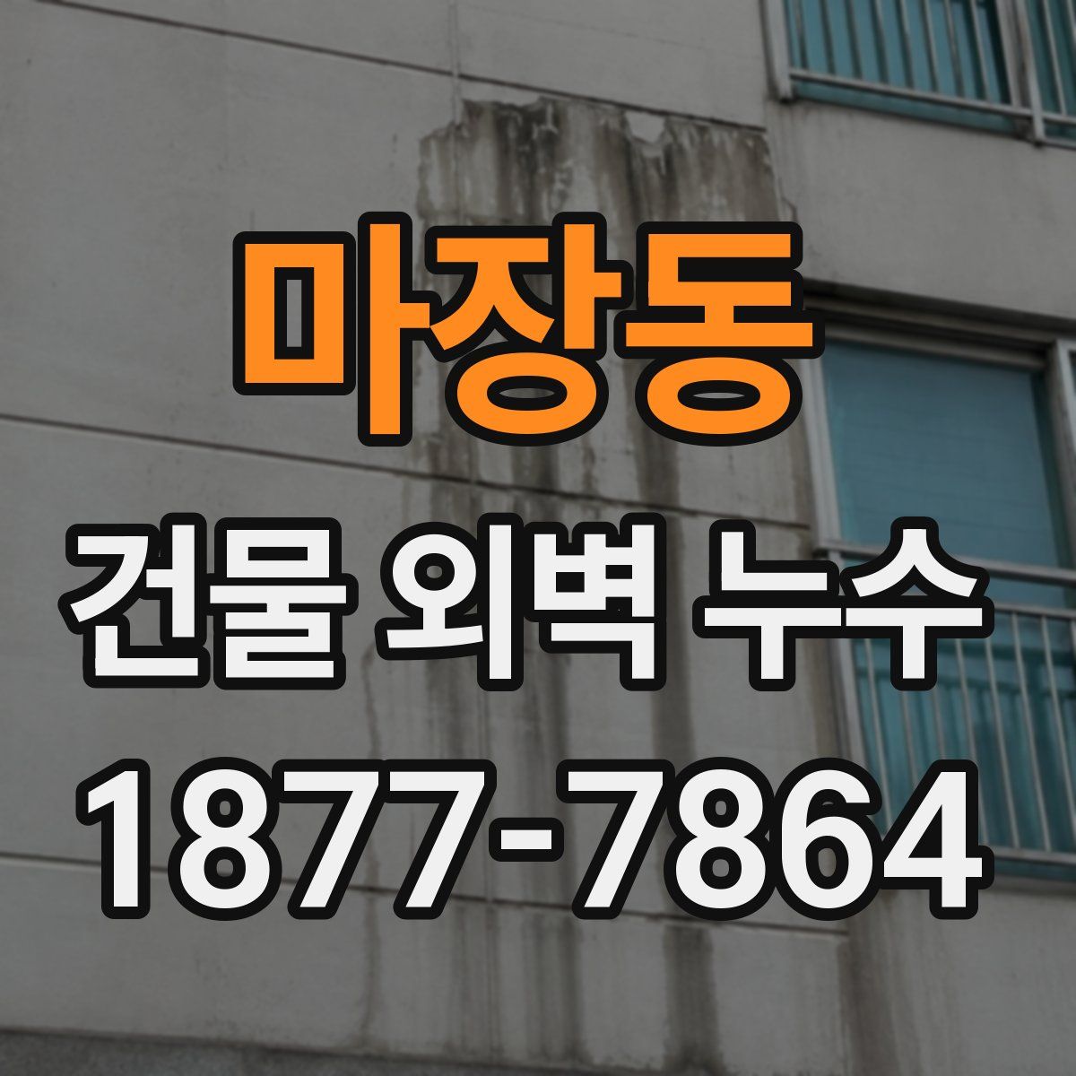 마장동 건물 외벽 누수