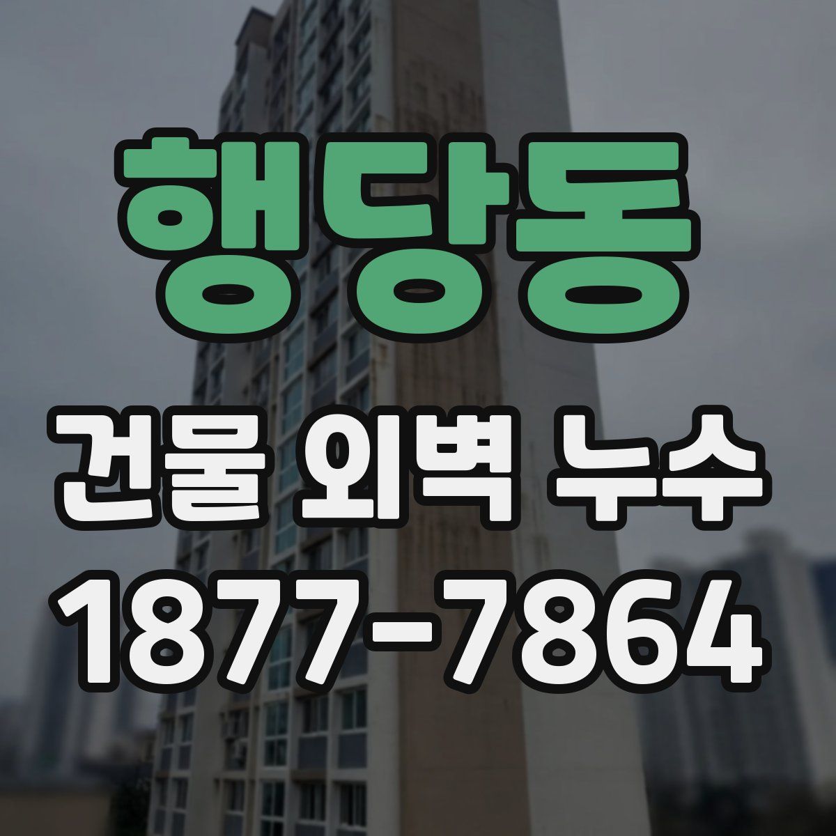 행당동 건물 외벽 누수