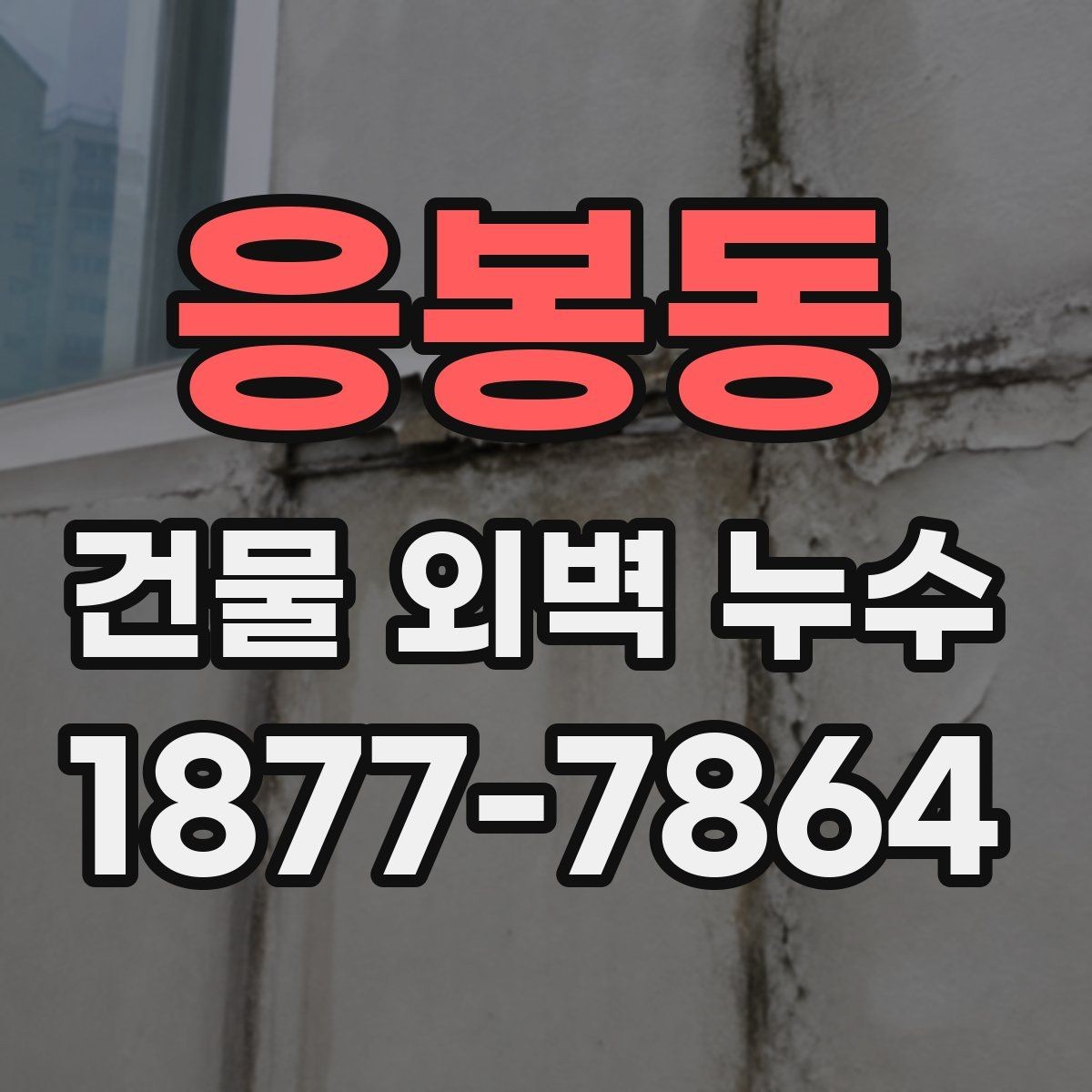 응봉동 건물 외벽 누수 보수 견적 볼 때 체크할 점
