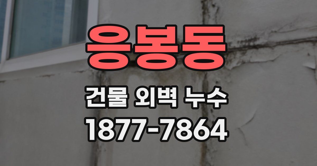 응봉동 건물 외벽 누수