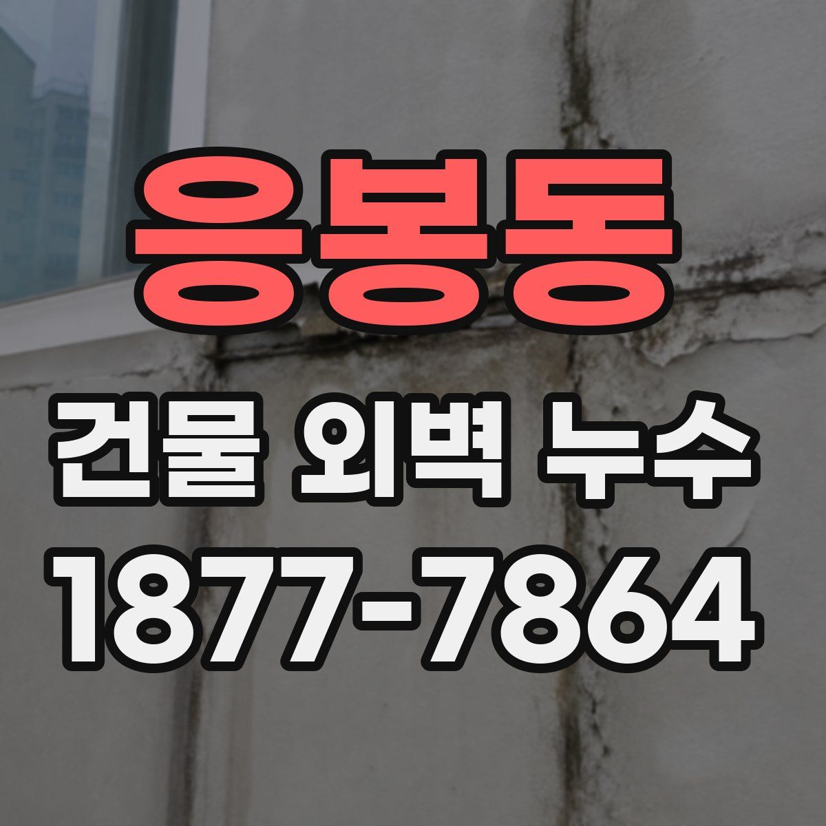 응봉동 건물 외벽 누수