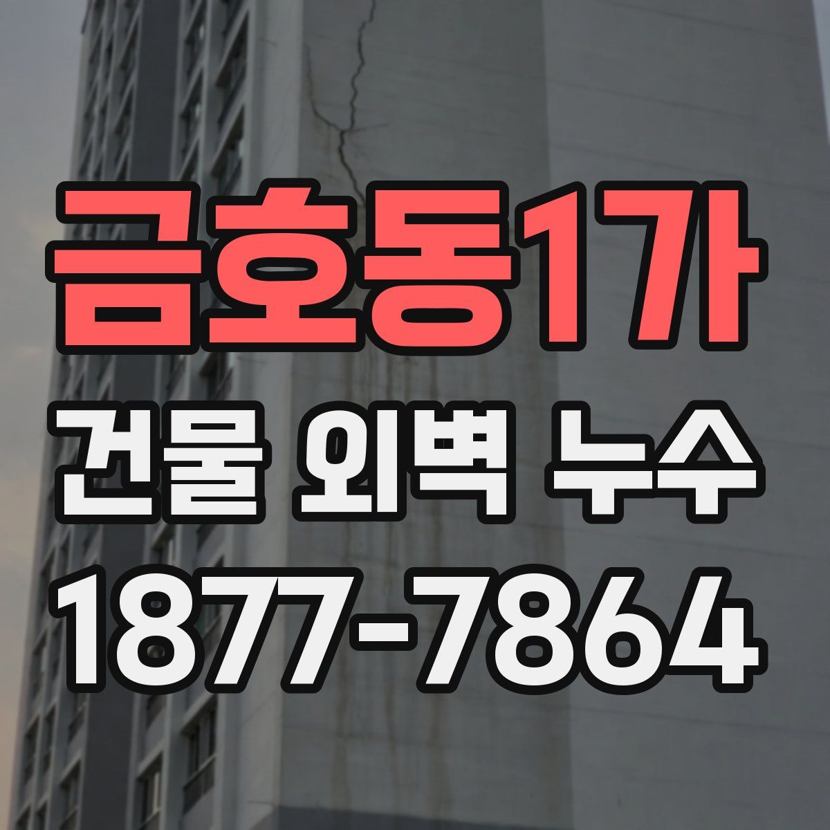 금호동1가 건물 외벽 누수