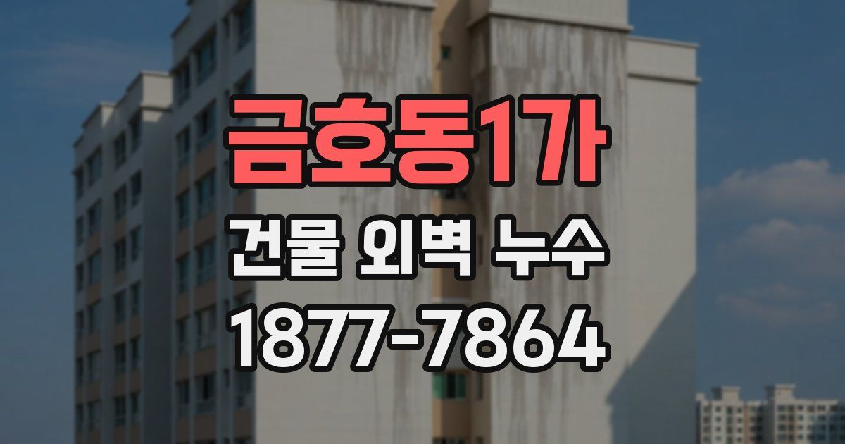 금호동1가 건물 외벽 누수